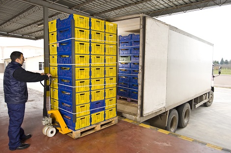 Prawidłowe przechowywanie i transport żywności